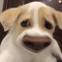 5lasaoma 5lasaoma