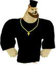 orthochaddoge