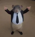 MrChedda MrChedda