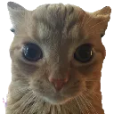 emoji_6