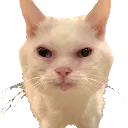 emoji_7