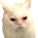emoji_9