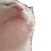 cat_jam cat_jam
