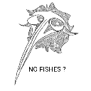 no_fishes no_fishes
