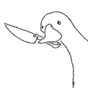 dont_fucc_wit_da_ducc dont_fucc_wit_da_ducc