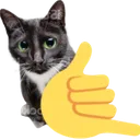 radcatsideways