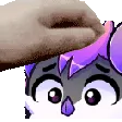 pet