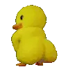 132duckytwerky2