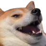 dogelaugh