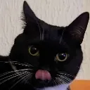 naviblep