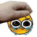 cpatsobemoji Discord Emoji