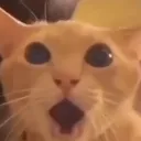 emoji_11