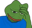 pepe_facepalm pepe_facepalm