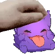 pet