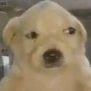 euem custom emote | Mundo dos Animes - Br