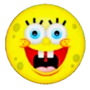 sponge_delight
