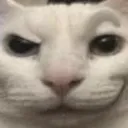 EyebrowRaise