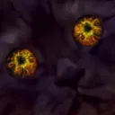 CatStareFrenzy CatStareFrenzy