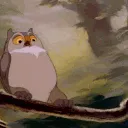 owlmazing