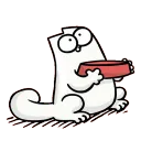 cat_foodPlease