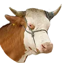 telkaeremi