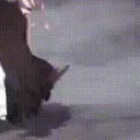 kasumi_drop kasumi_drop