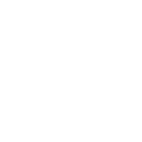 white_spider