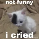 nofunni