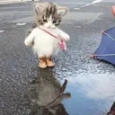 smol