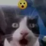 holyfuck