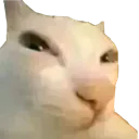 suspicious