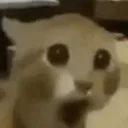 YOOOO