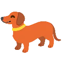 wiener wiener