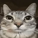 yo