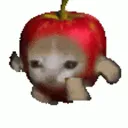 LD_Cat_Apple
