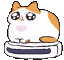 catroombaexceptionallyfast animated Discord emote from Grove