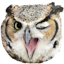 owlwink owlwink
