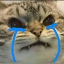 emoji_290 emoji_290
