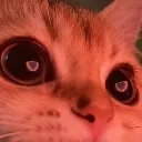 emoji_29