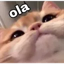 emoji_33