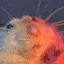 RatDance