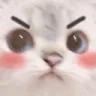 cat_Mad_Hmph Discord Emoji
