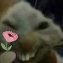 xddFlower