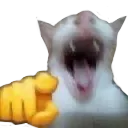 WAJAJA