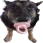 binkydawg