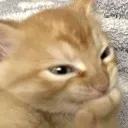heheheHAHAHAHAH