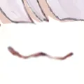 tt_FACE2