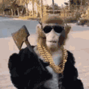 Sr Drip Discord Emoji