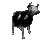 SR_CowDance