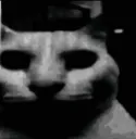 catdespair